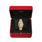 Panthère de Cartier Medium Model