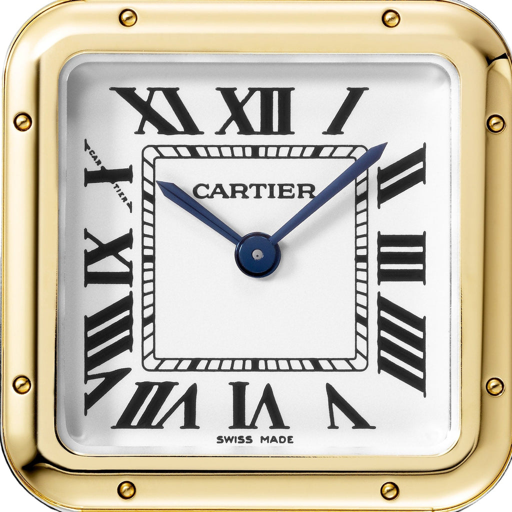Panthère de Cartier Large Model