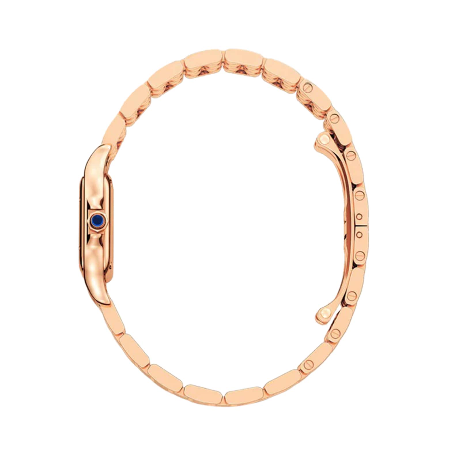 Panthère de Cartier Small Model