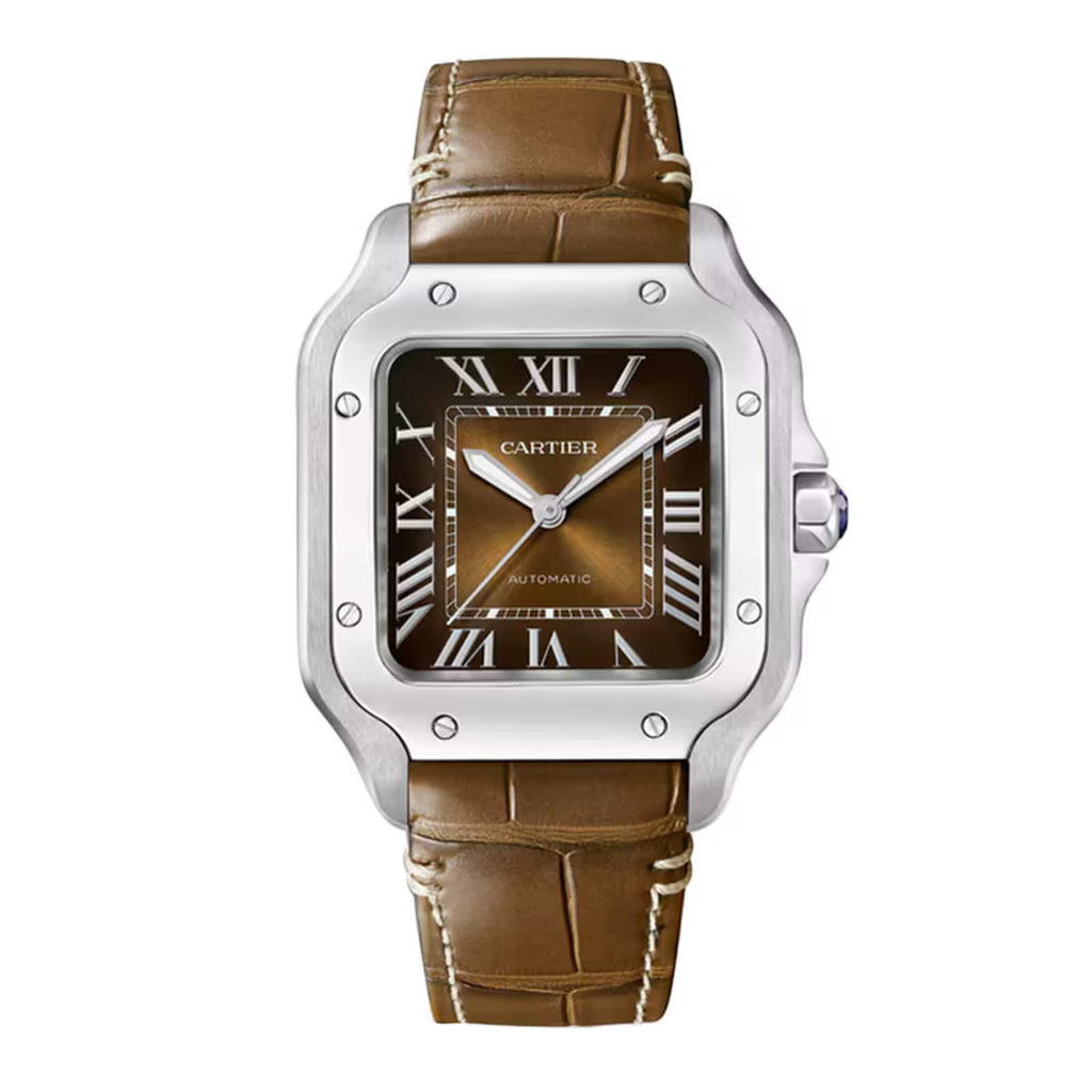 Santos de Cartier Medium Model