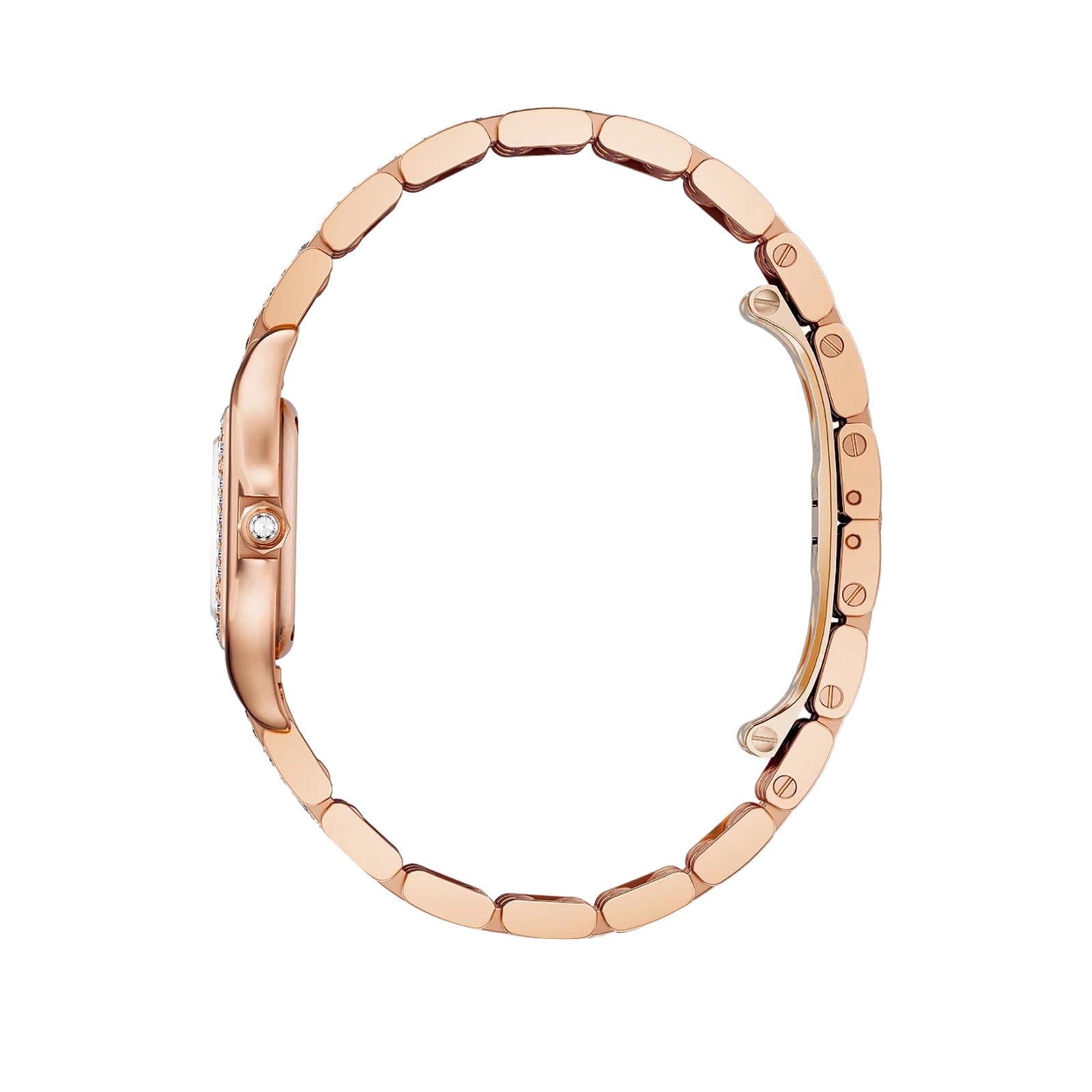 Panthère de Cartier Small Model