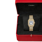 Panthère de Cartier Medium Model