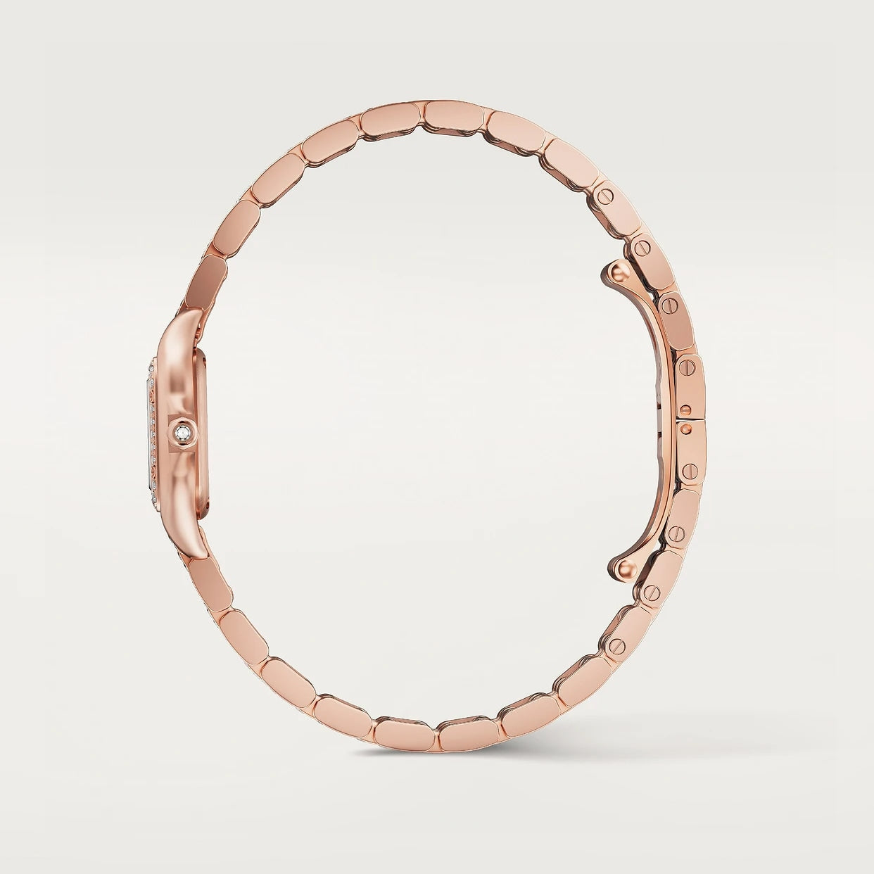 Panthère de Cartier Mini Model