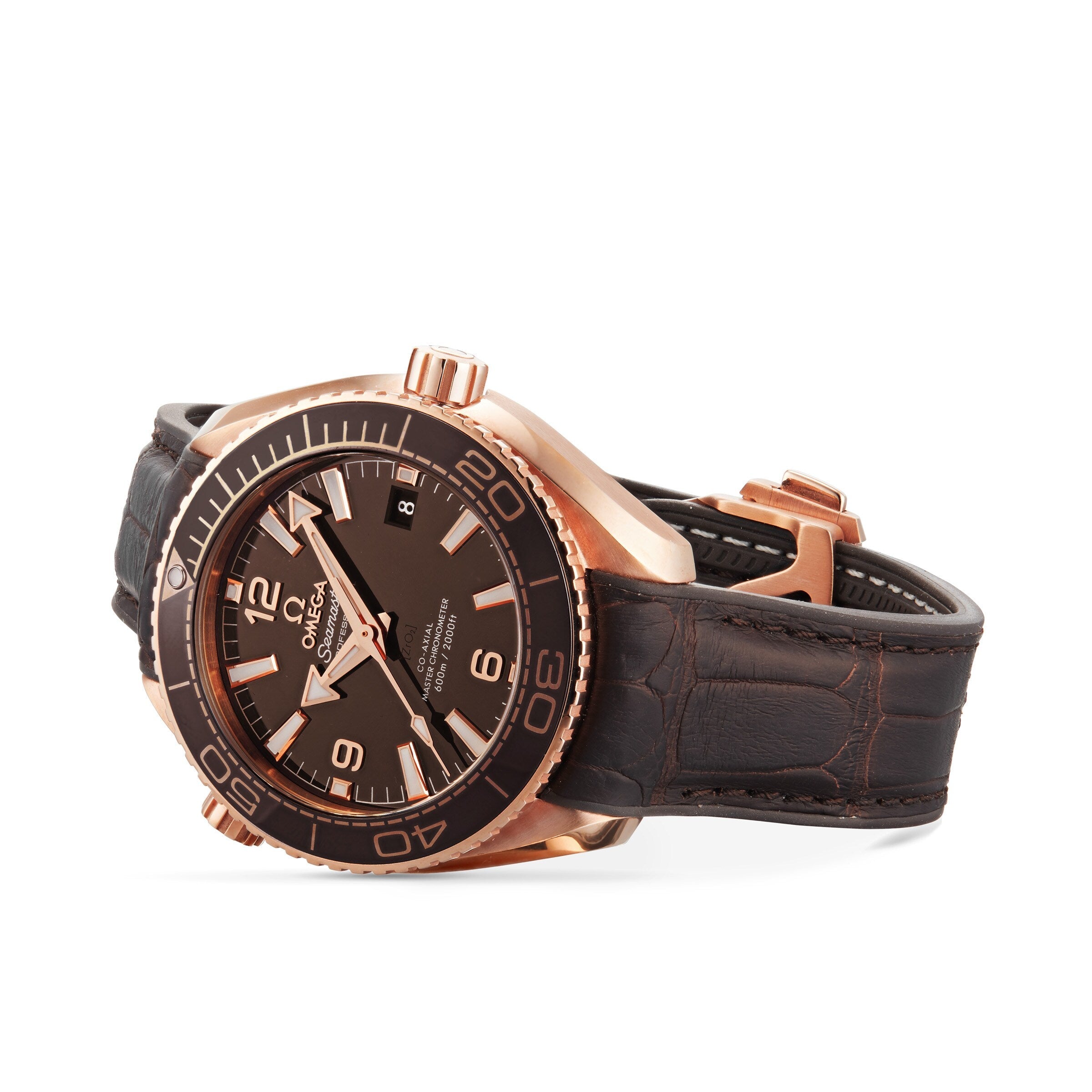 Seamaster Planet Ocean 600M