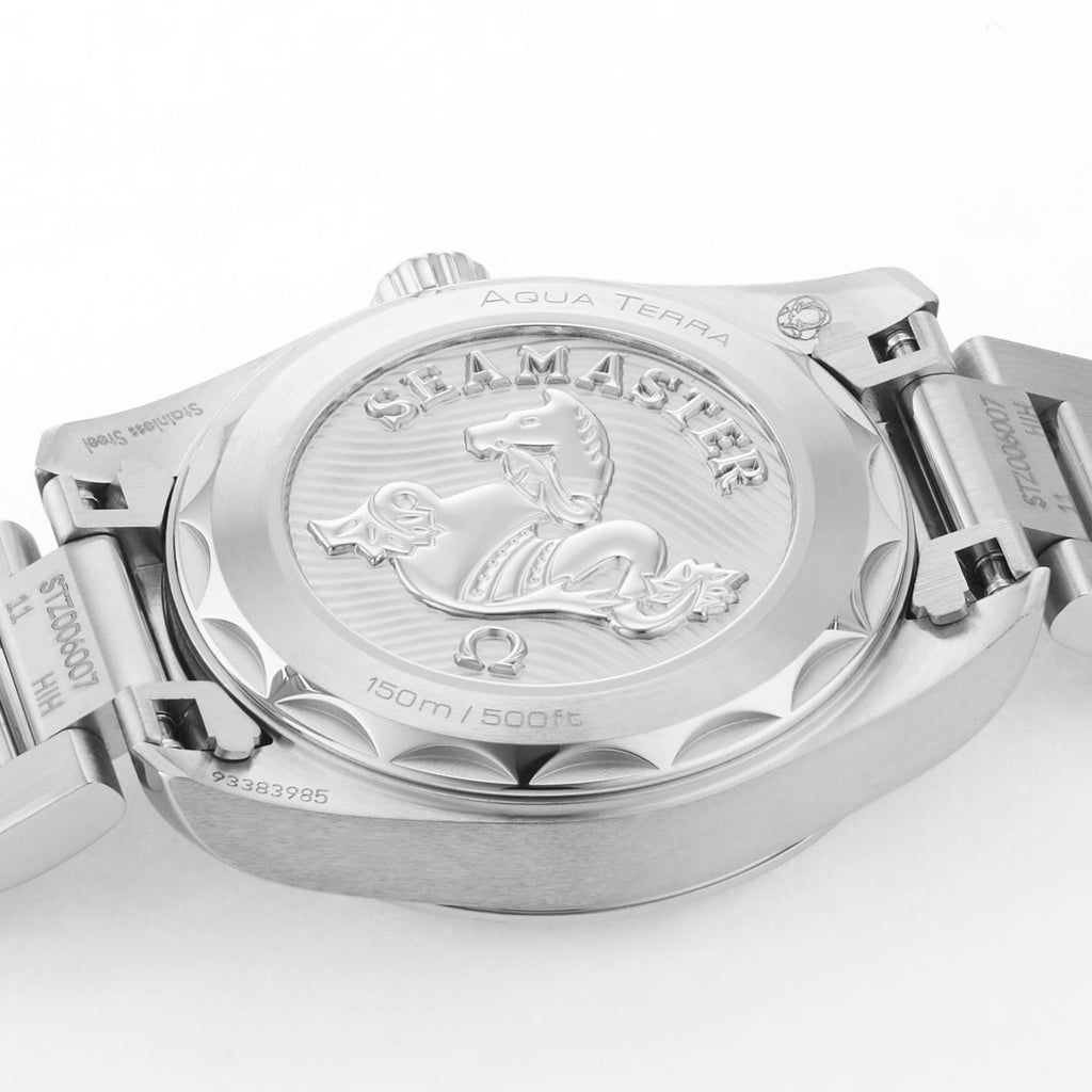 Seamaster Aqua Terra 150M