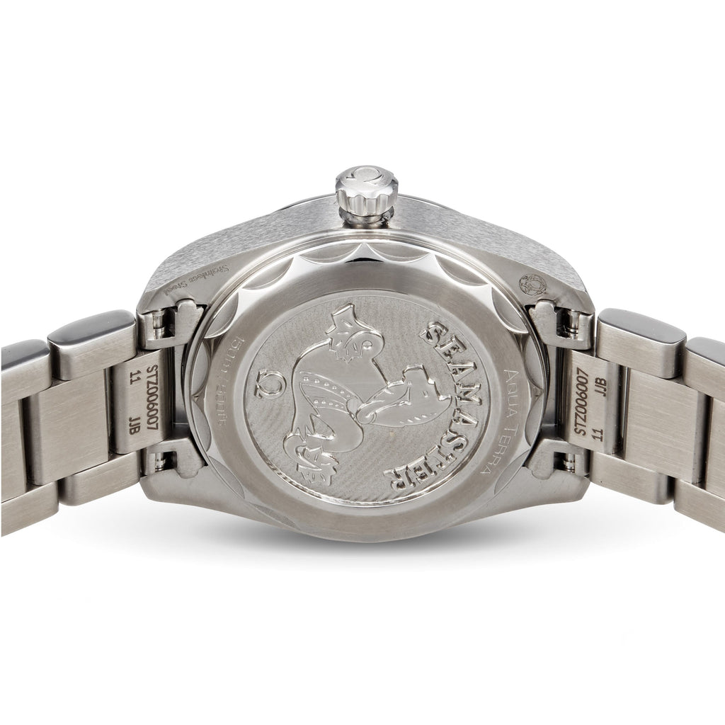 Seamaster Aqua Terra 150M