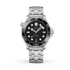 Seamaster Diver 300M