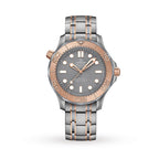 Seamaster Diver 300M