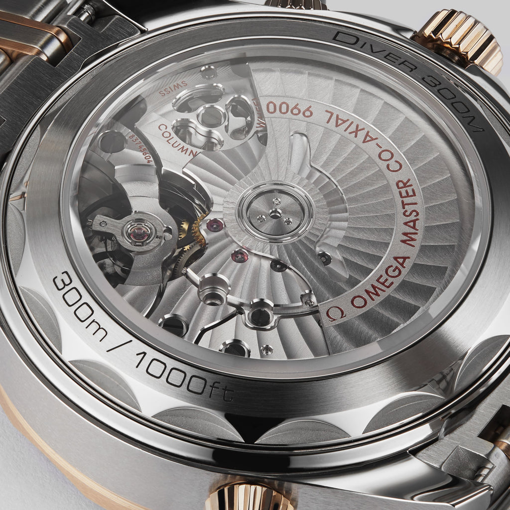 Seamaster Diver 300M