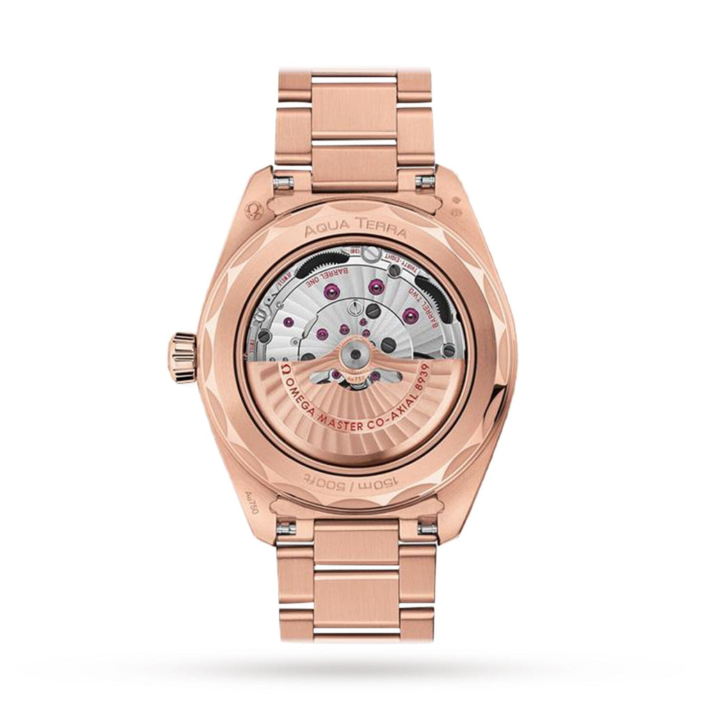 Seamaster Aqua Terra 150M