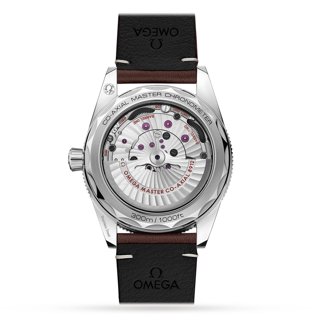 Seamaster 300