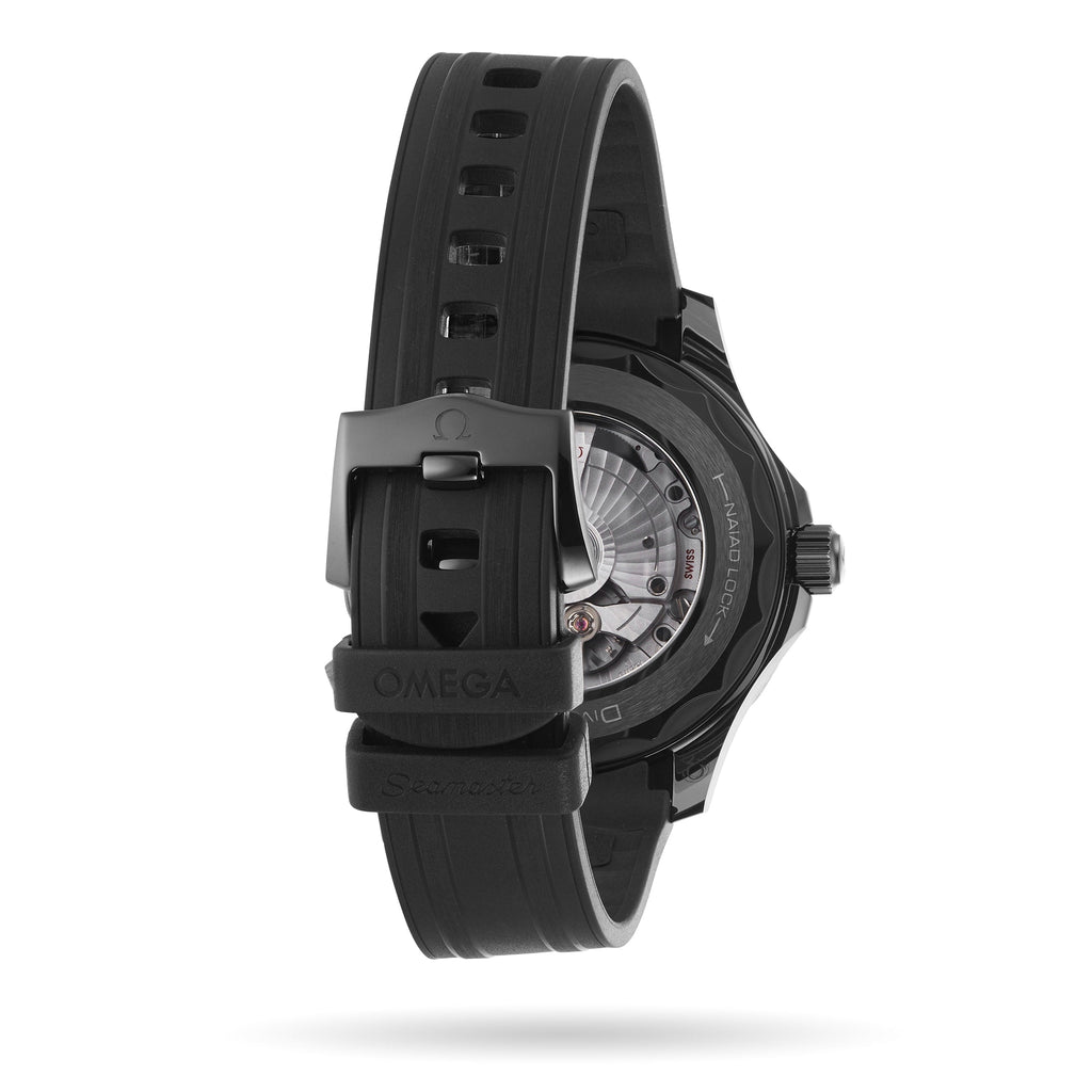 Seamaster Diver 300M Black Black Edition