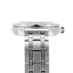 Seamaster Diver 300M