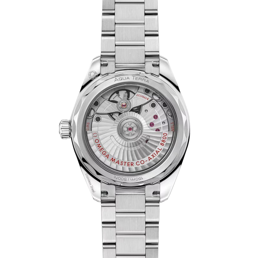 Seamaster Aqua Terra Shades