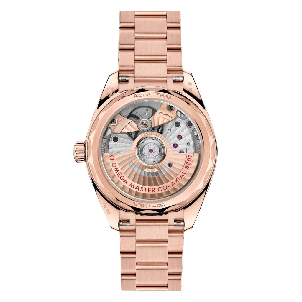 Seamaster Aqua Terra Shades