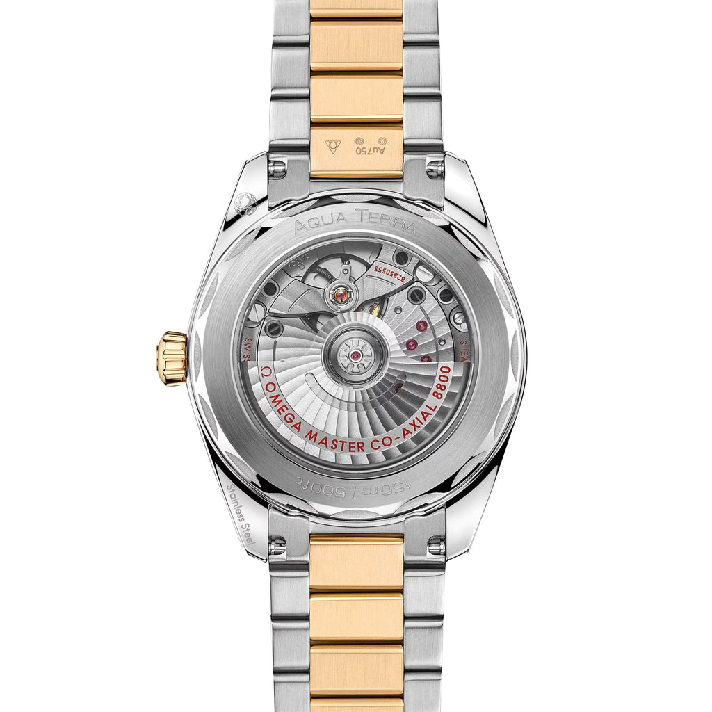 Seamaster Aqua Terra 150M