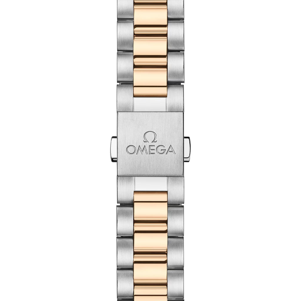 Seamaster Aqua Terra 150M