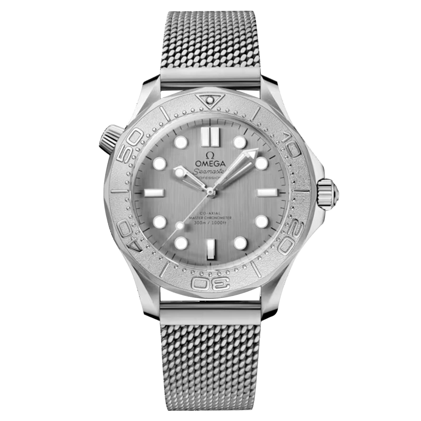 Seamaster Diver 300M