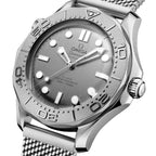 Seamaster Diver 300M