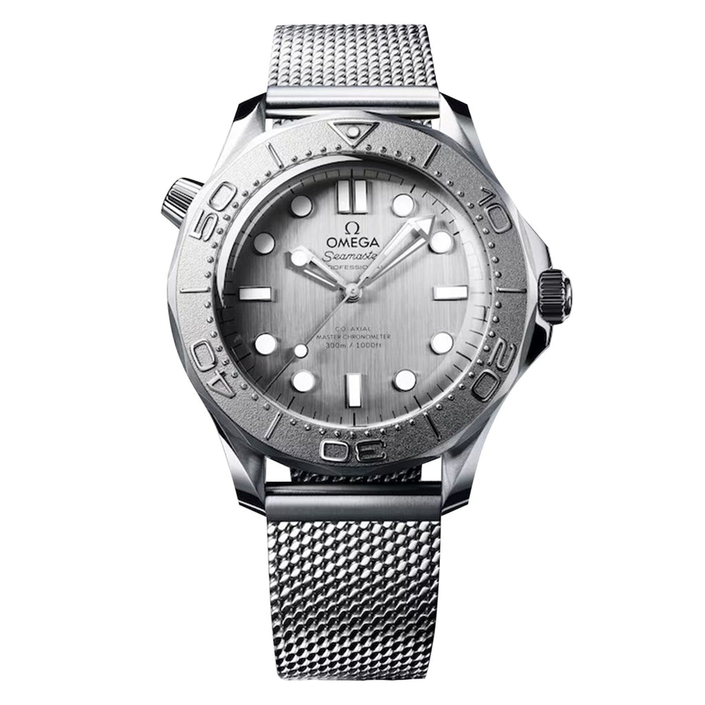 Seamaster Diver 300M