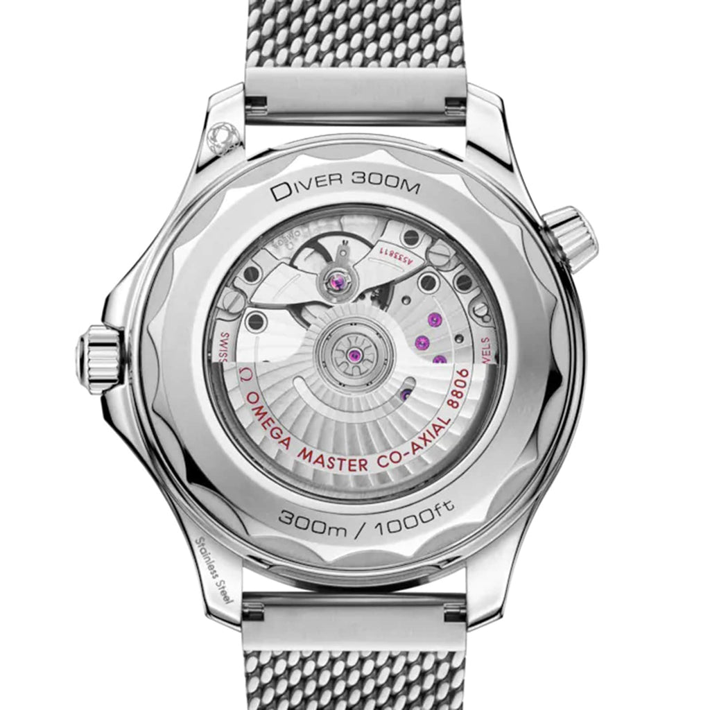 Seamaster Diver 300M