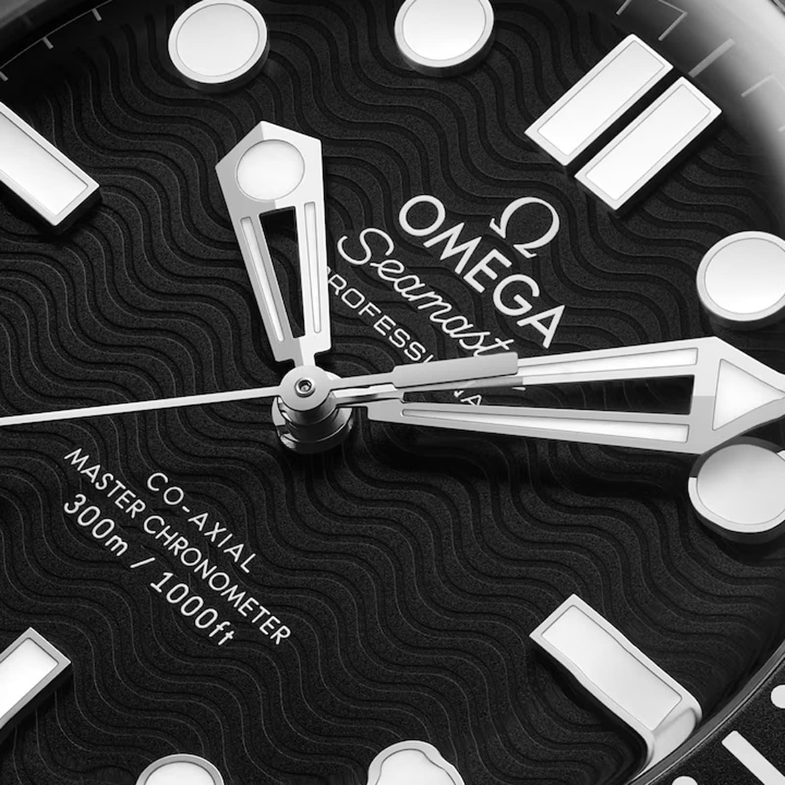 Seamaster Diver 300M