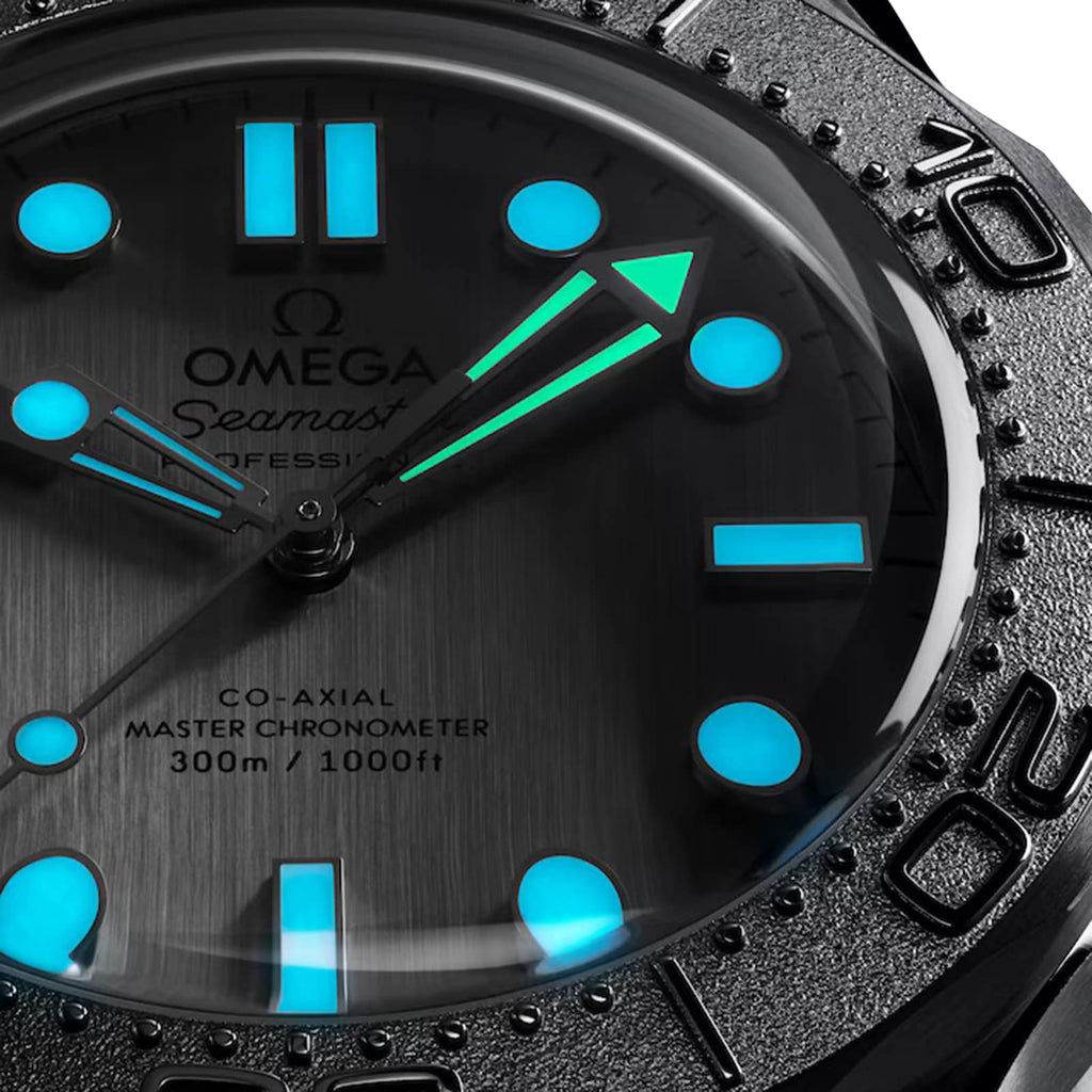 Seamaster Diver 300M