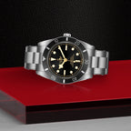 Black Bay 54