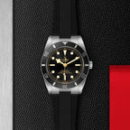 Black Bay 54