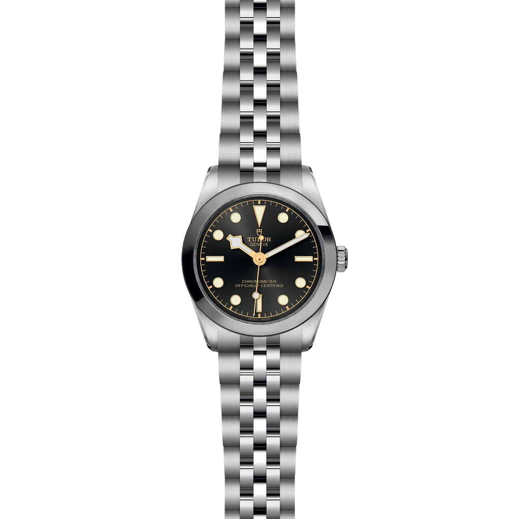 Black Bay 31