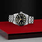 Black Bay 31
