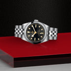 Black Bay 31
