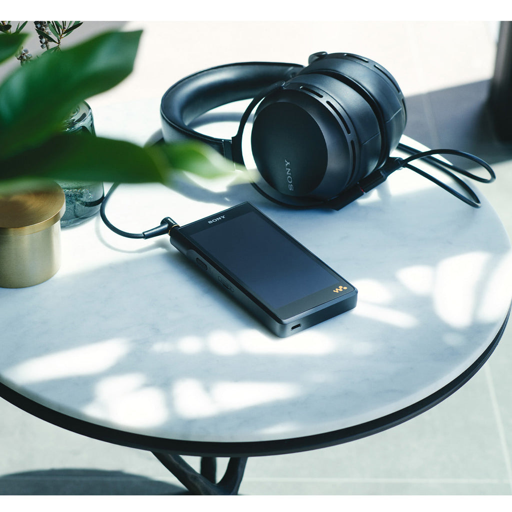 Sony NW-WM1AM2 128GB Walkman Digital Music Player
