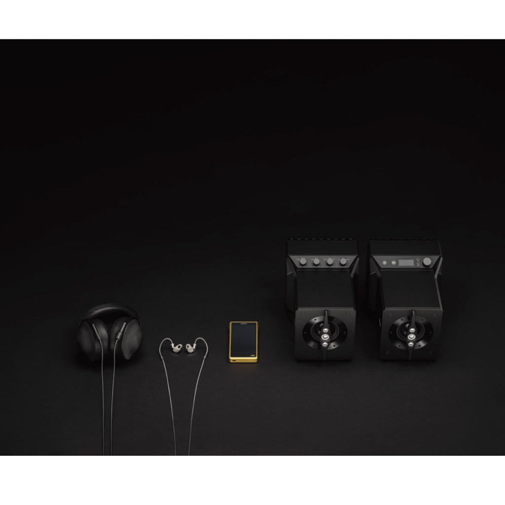 Sony NW-WM1ZM2 256GB Signature Series Premium Digital Music Player