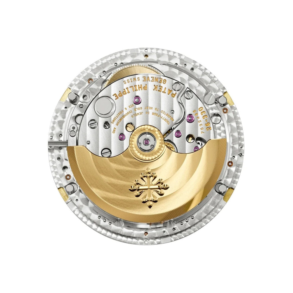 Complications 4946R-001