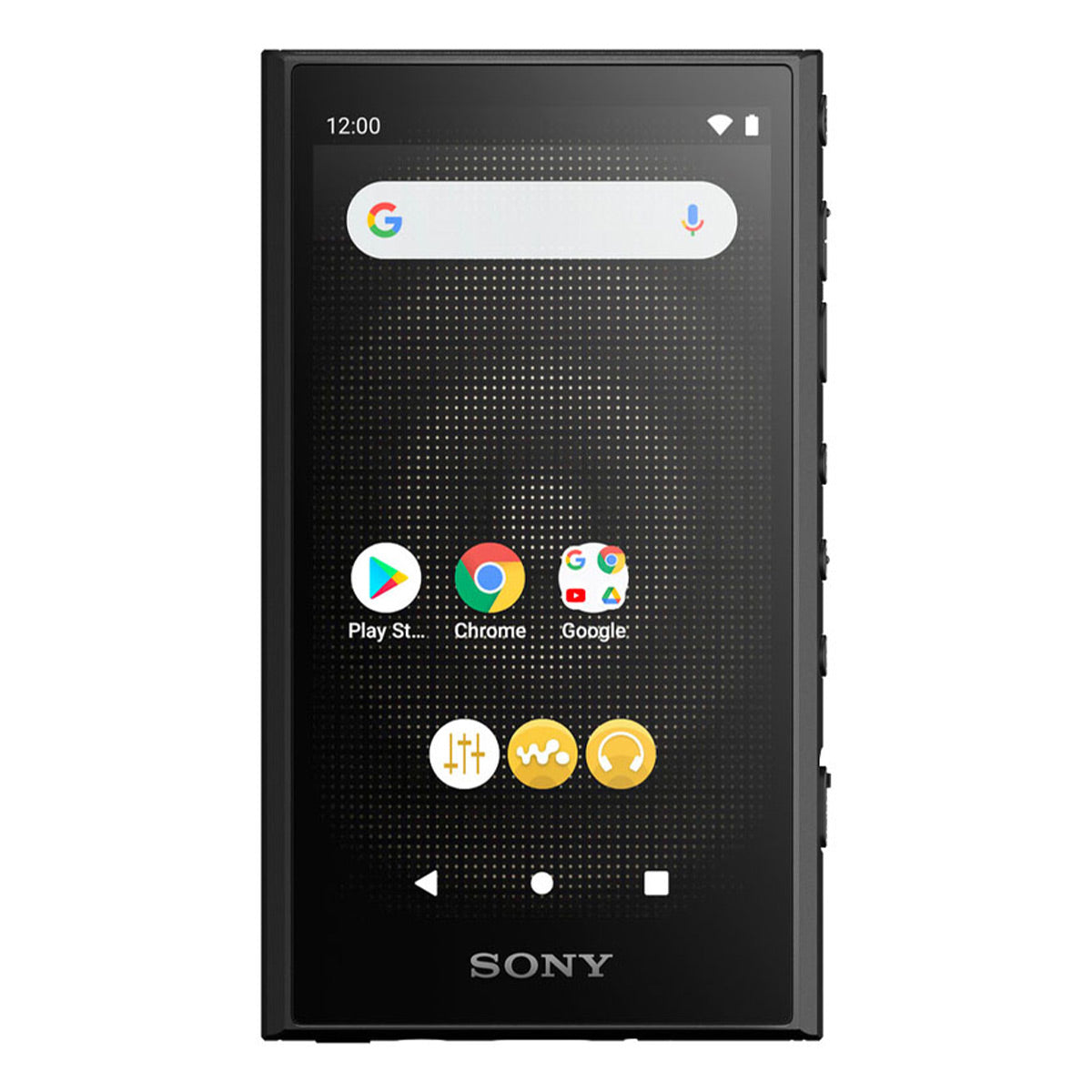 Sony NW-A306 Walkman A Series Hi-Res Digital Music Player