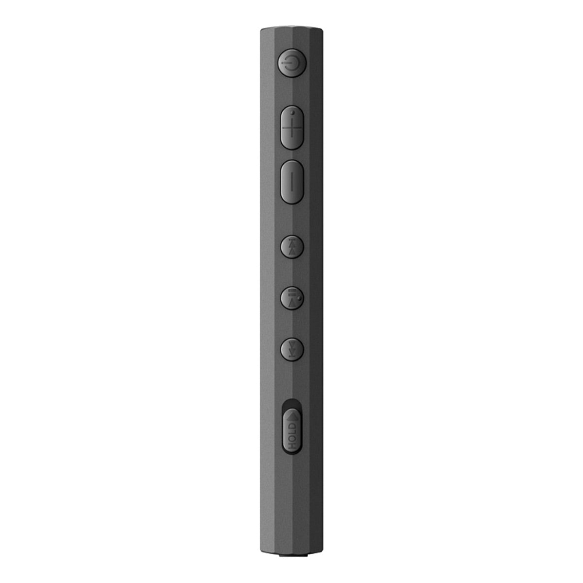 Sony NW-A306 Walkman A Series Hi-Res Digital Music Player