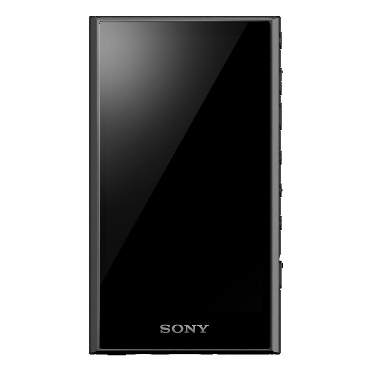 Sony NW-A306 Walkman A Series Hi-Res Digital Music Player