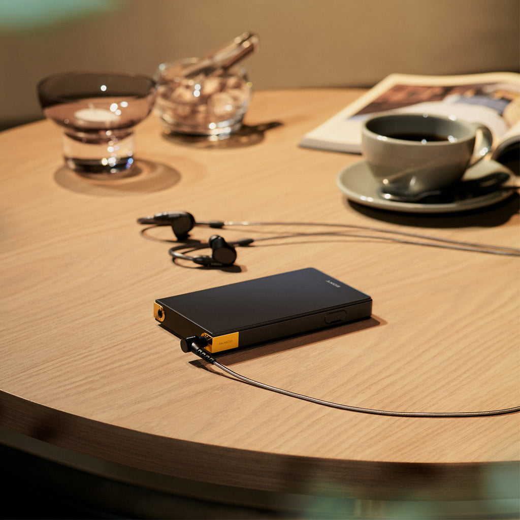 Sony NW-ZX707 Walkman ZX Series Hi-Res Digital Music Player