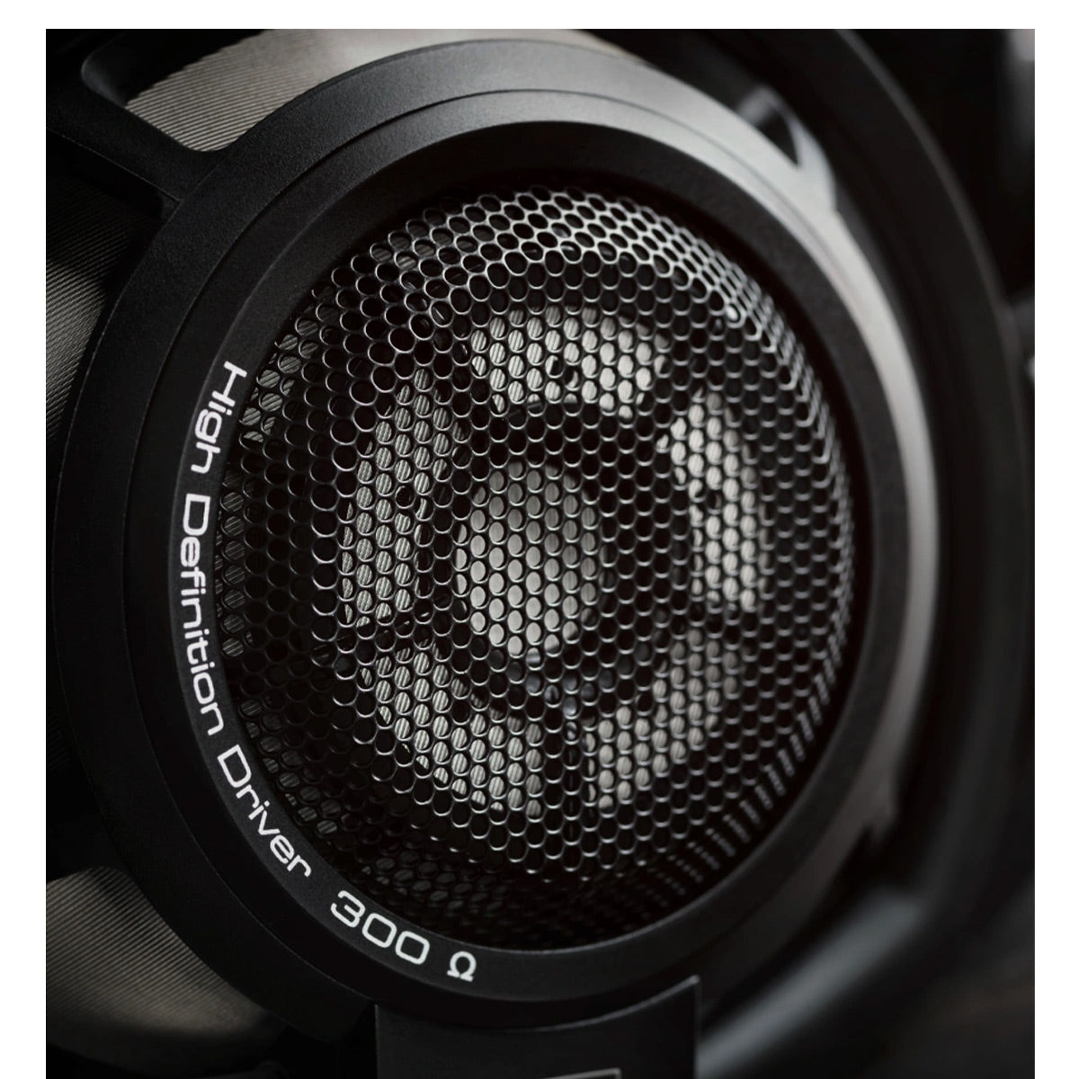 Sennheiser HD 800 S Open-Back Audiophile Headphones and HDV 820 Reference Headphone Amplifier/DAC Bundle