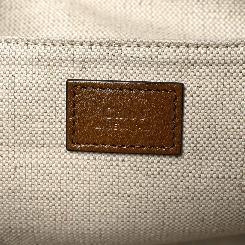 Shiny Calfskin Large Double Carry Camera Bag Dark Khaki