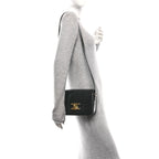 Shiny Calfskin Medium Triomphe Black