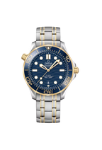 Omega Seamaster Diver 300M 210.20.42.20.03.001