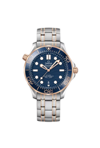 Omega Seamaster Diver 300M 210.20.42.20.03.002