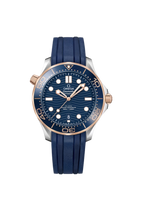 Omega Seamaster Diver 300M 210.22.42.20.03.002