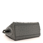 Ostrich Shiny Nappa Mini Peekaboo Iconic Satchel Grey