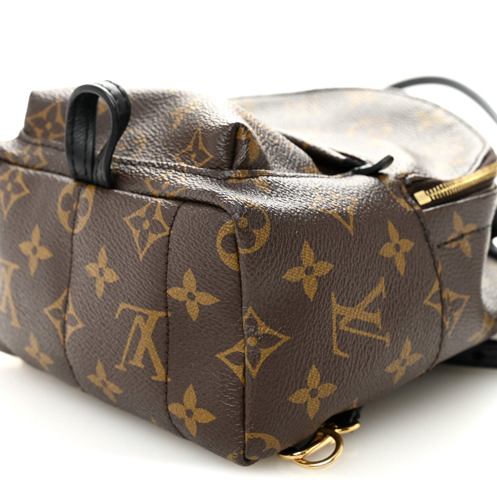 Monogram Palm Springs Backpack Mini