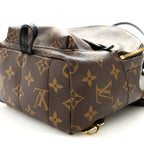 Monogram Palm Springs Backpack Mini