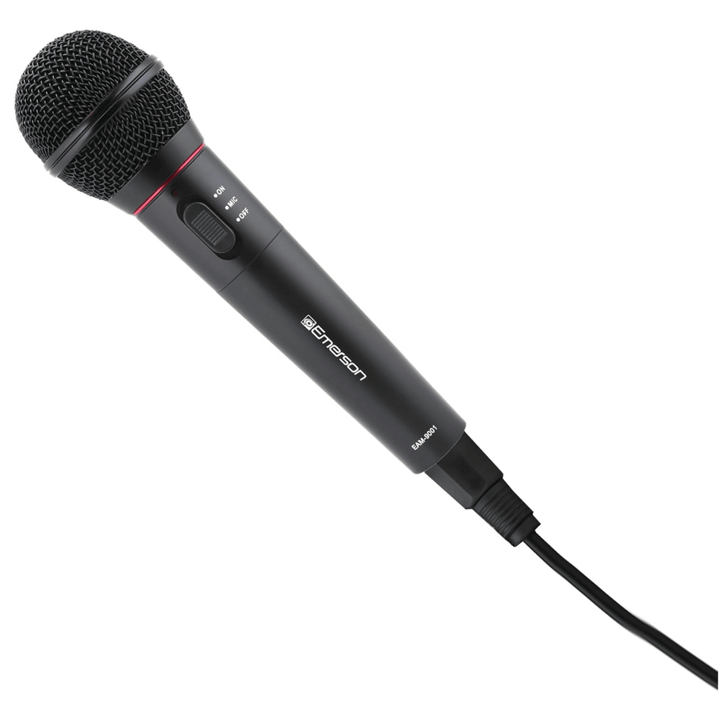 Professional Microphone Kit with Wireless Receiver