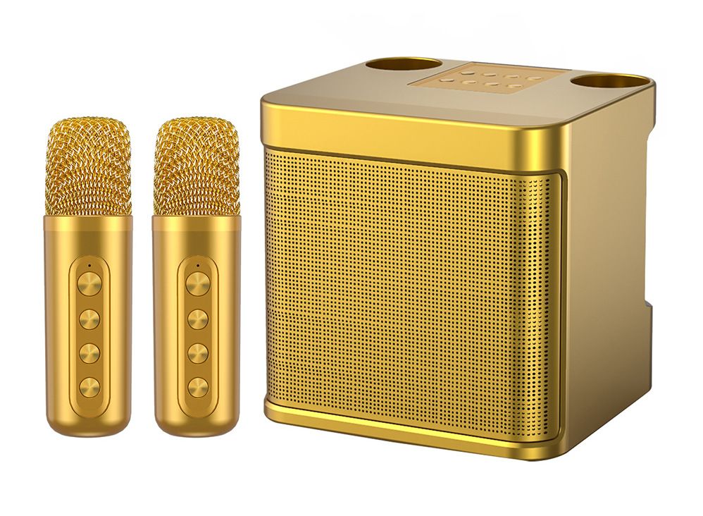 100W Peak High Power Portable Karaoke Bluetooth Speaker Wireless Microphone Suit Intelligent External Singing Equipment - Mini Mic 5